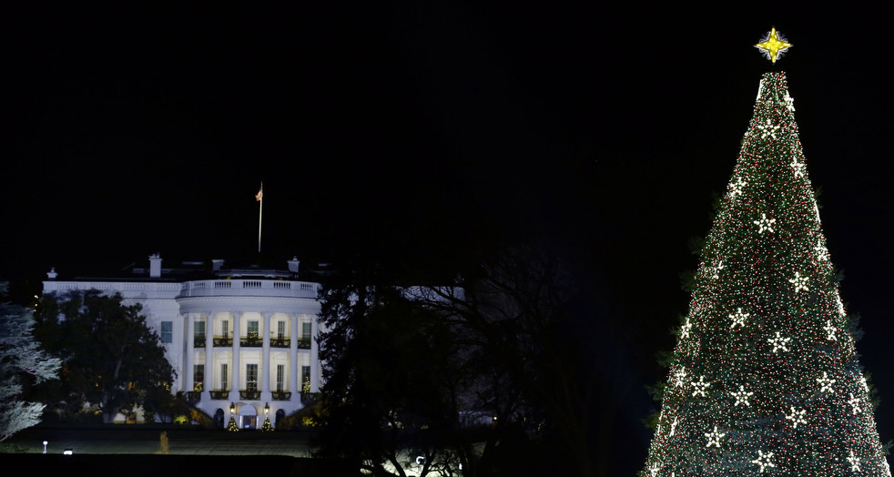 christmas lights_35.jpg